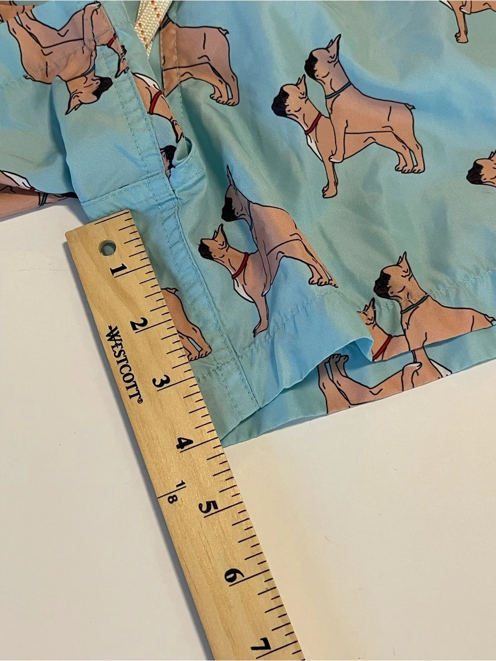 Ambsn Mens Swim Shorts Trunk Lined Medium French Bulldog Print Pockets Funny